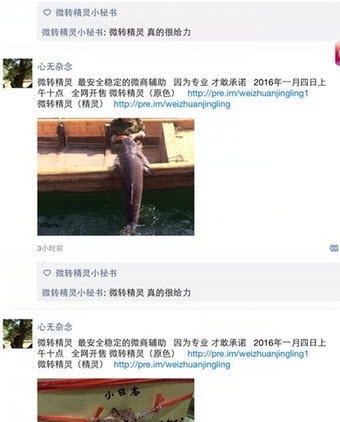 微转精灵