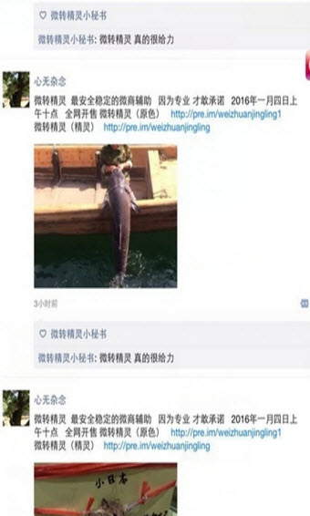微转精灵4