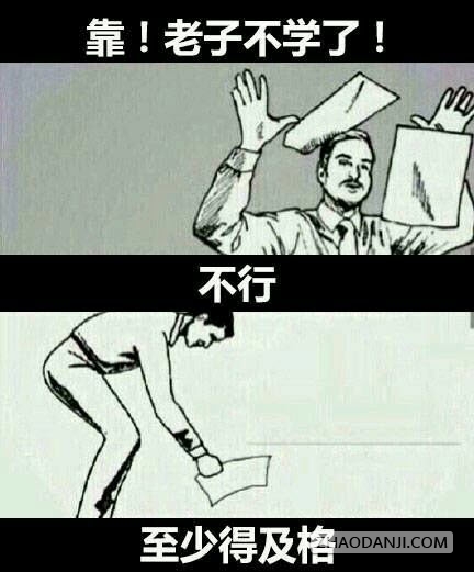 老子不学了不行得及格表情包1