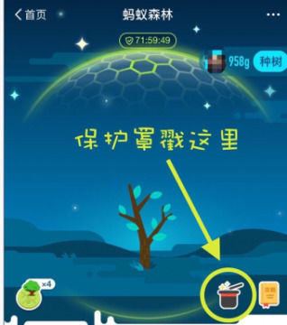 蚂蚁森林能量防护罩